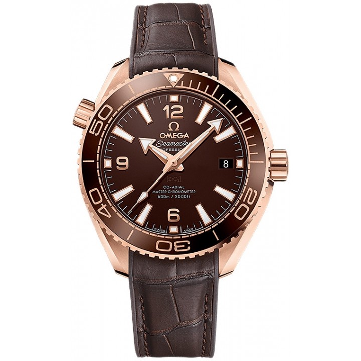 Omega Seamaster Planet Ocean 600M Master Chronometer 215.63.40.20.13.001