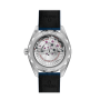 Omega Seamaster Aqua Terra 150M Master Chronometer 220.13.41.21.03.003