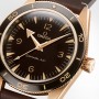 Omega Seamaster 300 Master Chronometer 234.92.41.21.10.001