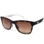 Adidas Sunglasses Unisex Havana Brown/White AOR004148001