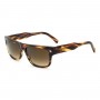 Zegna Sunglasses Unisex Brown Stripe Havana EZ0088-47F-56