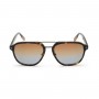 Zegna Sunglasses Unisex Havana EZ0159-D-52F-59