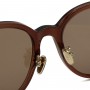 Tom Ford Sunglasses Unisex Brown FT1137-K-48E-55