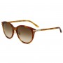 Gucci Sunglasses Unisex Havana GG1452SK-004