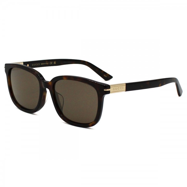 Gucci Sunglasses Unisex Havana GG1505Sk-002