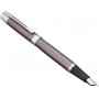 Sheaffer Fountain Pen Medium Point Metallic Gray N0932950