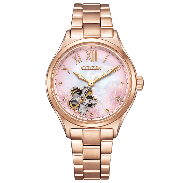 Citizen Collection Limited Edition PC1017-70Y