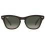 Ray-Ban Sunglasses Unisex Transparent Olive Green RB0707SF-664271-53