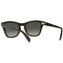 Ray-Ban Sunglasses Unisex Transparent Olive Green RB0707SF-664271-53