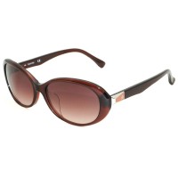 Calvin Klein Sunglasses Woman Clear Brown CK4309SA-210