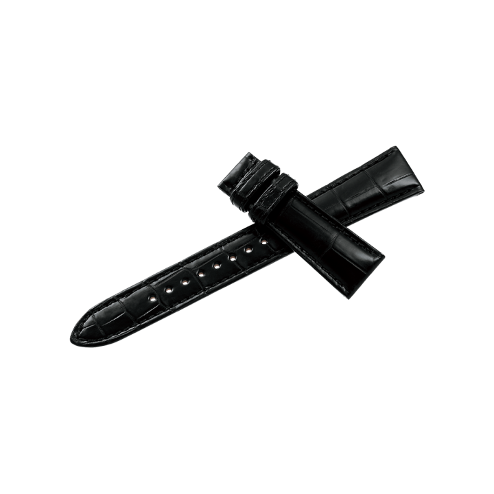 Grand Seiko 20MM BAND RG01W20BK