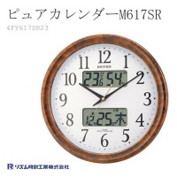 Citizen Rhythm 4FY617SR23