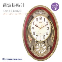 Citizen 4MN484RH23