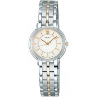 Seiko Spirit SSDA002