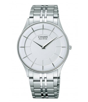 Citizen Collection AR3010-65A