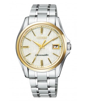 Citizen The Citizen AQ4024-53Y