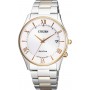 CITIZEN COLLECTION AS1062-59A
