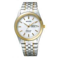 Citizen Reguno RS25-0053B