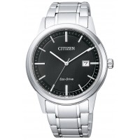 Citizen Collection AW1231-66E