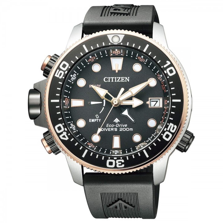 Citizen Promaster 30th Anniversary Limited Model BN2037-11E