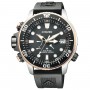 Citizen Promaster 30th Anniversary Limited Model BN2037-11E