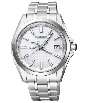 Citizen The Citizen AQ1040-53A