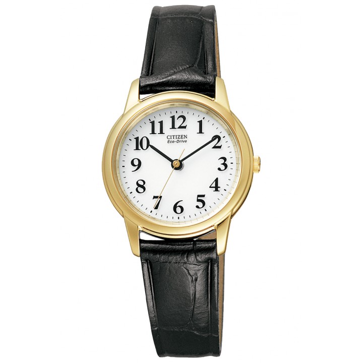 Citizen Collection FRB36-2262