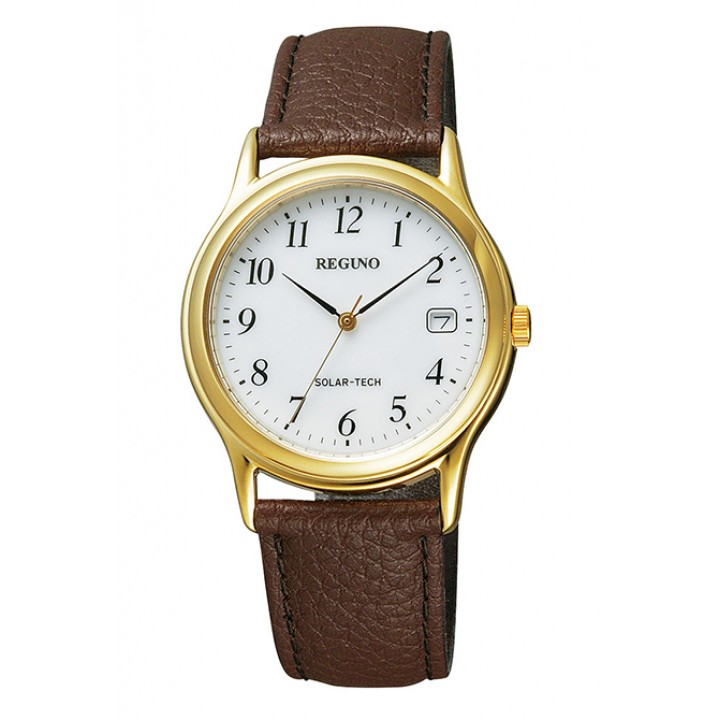 Citizen Reguno RS25-0031B