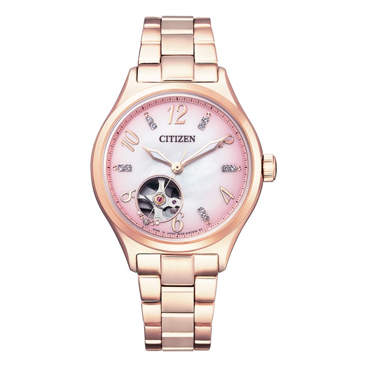 Citizen Collection PC1005-87X