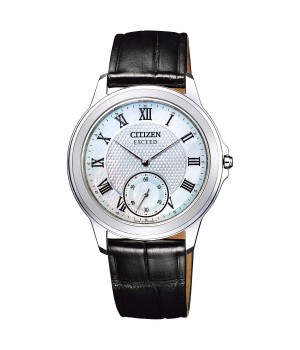 Citizen Exceed AQ5000-13D