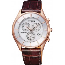 Citizen COLLECTION AT2362-02A