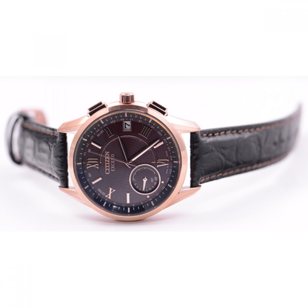 CITIZEN EXCEED CC3052-18X | Sakurawatches.com