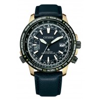 Citizen Promaster Eco-Drive Radio Clock Direct Flight CB0204-14L