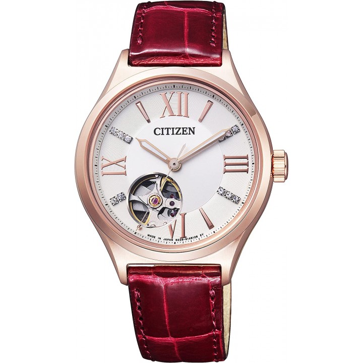 Citizen Collection PC1002-00A