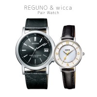 Citizen REGUNO/WICCA KL7-019-50/KP3-465-10