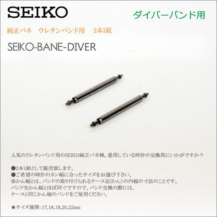 SEIKO 21MM PINS