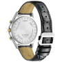 Citizen Exceed "Mid-Autumn Moon" Limited Edition BY1025-17E 