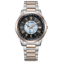 Citizen Exceed "Arrow of Oath" Limited Edition CB1115-68W