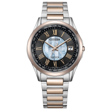 Citizen Exceed "Arrow of Oath" Limited Edition CB1115-68W