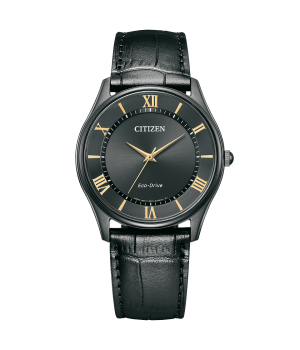 Citizen Collection Limited Edition BJ6486-20E