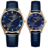 Citizen Collection Limited Model Pair BJ6487-01L EM0407-01L