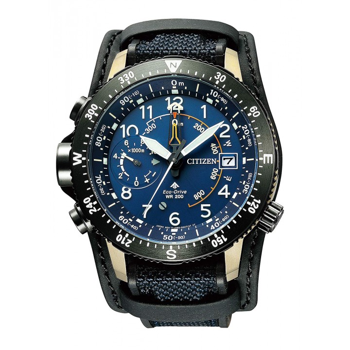 Citizen Promaster Limited Model BN4055-19L