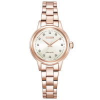 Citizen Collection PR1037-58A