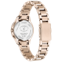 Citizen xC Daichi Collection Limited Edition EE1004-81N