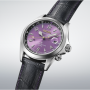 Seiko Prospex Alpinist Seiko 145th Anniversary Limited Edition Model HBC006J