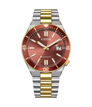 Citizen Collection TSUYOSA NJ0234-58X