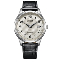 Citizen Collection NJ0250-01B