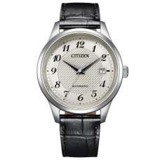 Citizen Collection NJ0250-01B