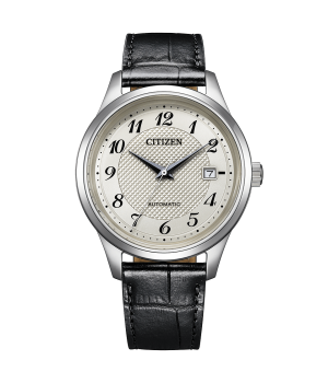 Citizen Collection NJ0250-01B