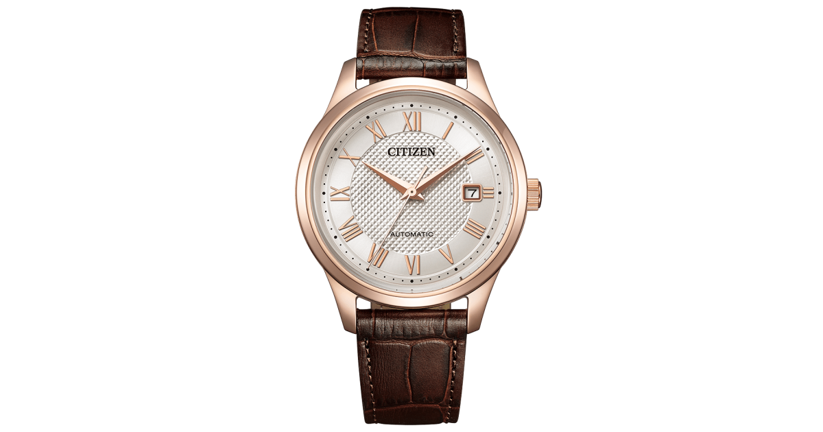 Citizen Collection NJ0252-05A | Sakurawatches.com